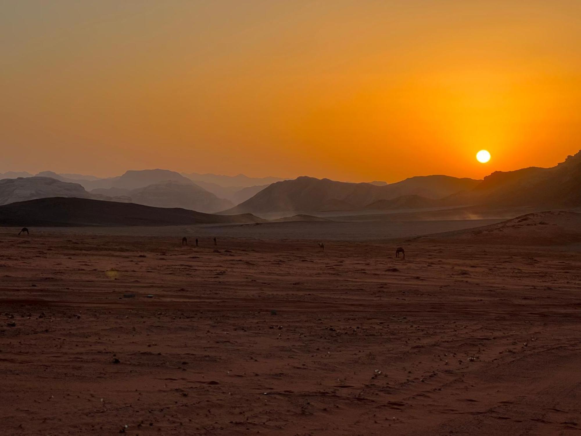 Wadi Rum Bedouin Experience Экстерьер фото