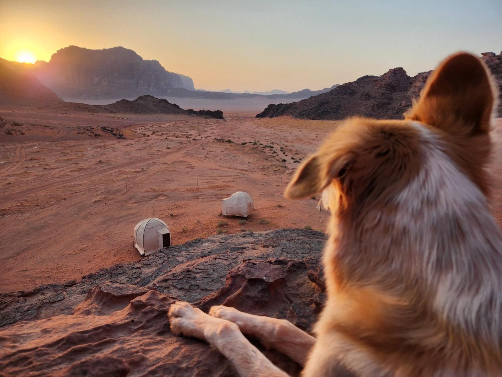 Отель Wadi Rum Bedouin Experience Экстерьер фото