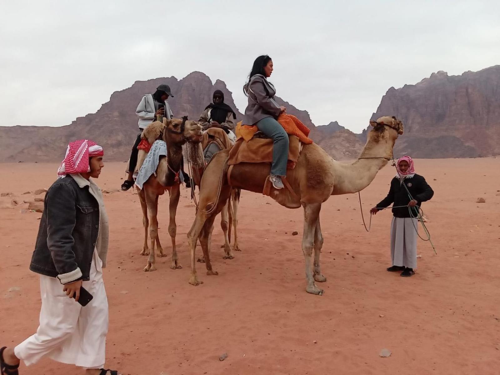 Wadi Rum Bedouin Experience Экстерьер фото