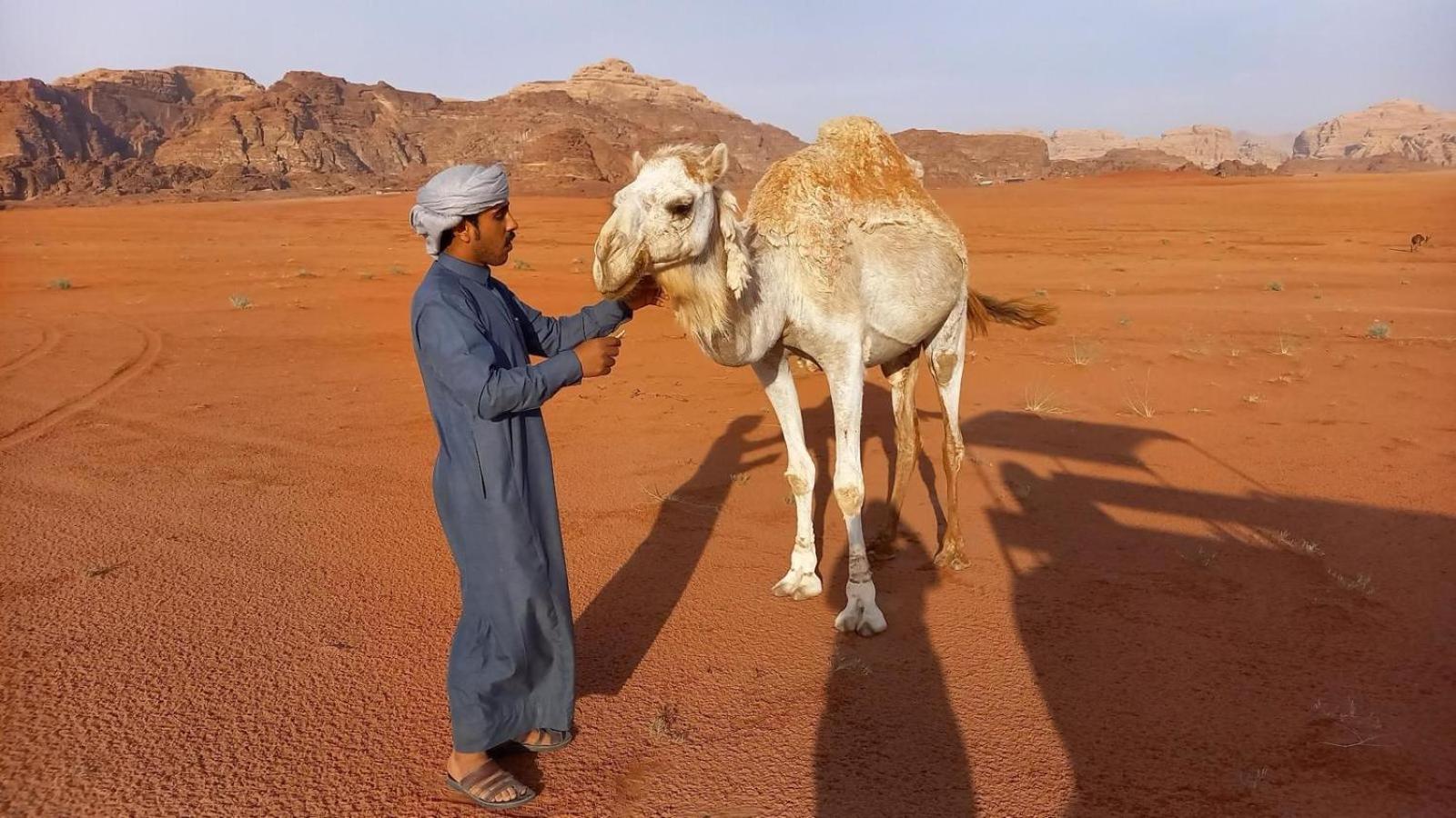 Wadi Rum Bedouin Experience Экстерьер фото